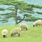 のどかな1日
