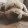 ぺた〜〜ん