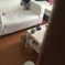 うちの猫