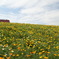DSC01200