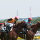6月5日　東京競馬場