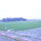 ふわっと