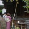 お願いごとは・・・