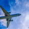 レインボー767