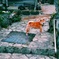 よく吠えてくる犬野郎