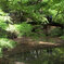 六義園
