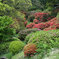 小石川植物園