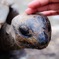 能登半島 ♪