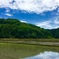田園