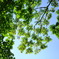 The Spring has come!
