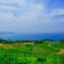 海の見える棚田