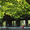 京都 南禅寺