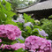 神社の境内で