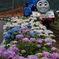 トーマスとあじさい１