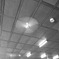 CEILING WITH A PROPELLER