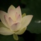 三室戸寺にて