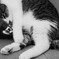 燃えたよ、燃え尽きた、真っ白にな・・・
