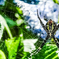 SPIDER WORLD！