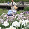 多賀城あやめ園１