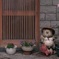 鯛漁狸