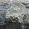 クラゲ水