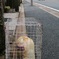 餌を
