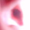 anan