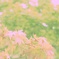 IMG_20160622_080021