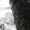 R0001069