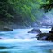 白老川上流