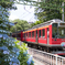 あじさい電車１