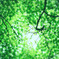Screenshot_2016-06-23-17-41-14-1