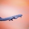 JAL in the sunset