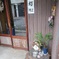 村上屋狸
