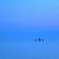 In the blue