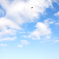 青雲