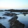 Tide pool