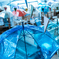 the rainy season umbrella