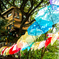 the rainy season umbrella