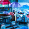 the rainy season umbrella