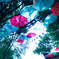the rainy season umbrella