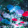 the rainy season umbrella