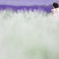 ほわんほわん花畑