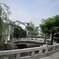美観地区にて