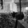 黒猫
