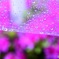 雨の日の視線