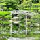 川柳　・　石橋を　叩いて渡ると　手がいたい。