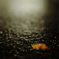 －silent rain－2-2