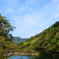 屋久島より