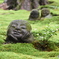 三千院のお地蔵さん